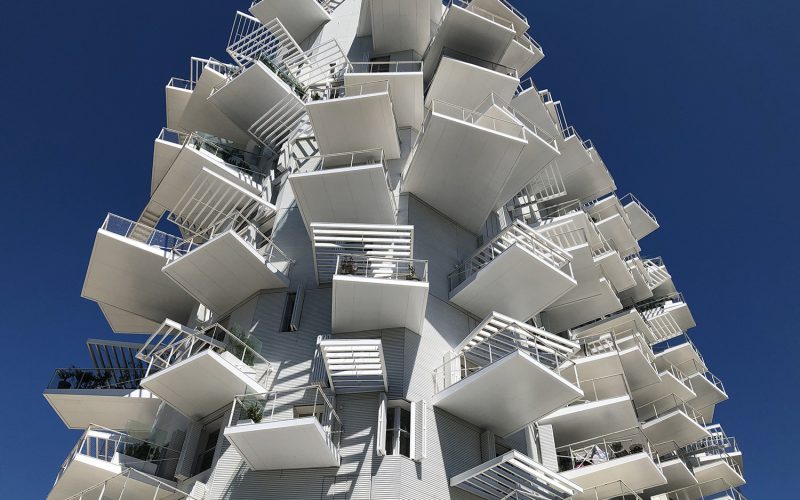 arbreblanc-montpellier