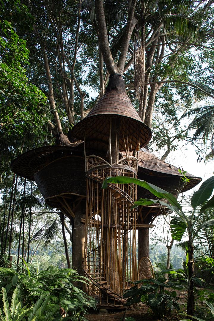 IBUKU ARCHITECTES 15 Bambu Indah Treehouse 1. Exteriors 04 of 16 Large JULIA FORMA
