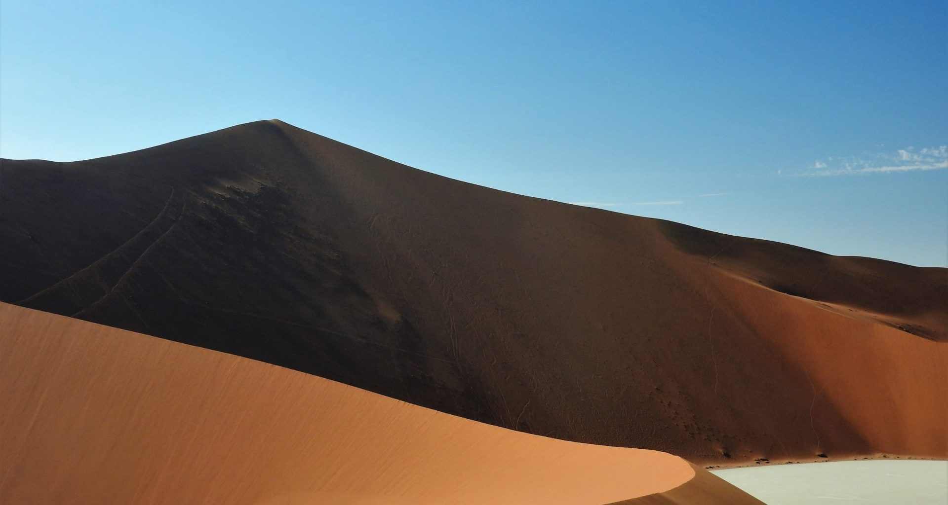 DSCN2484 scaled JULIA FORMA