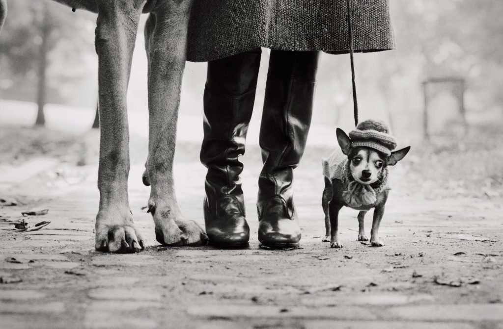 Elliott ERWITT au Musée Maillol à PARIS 14 Felix, Gladys and Rover