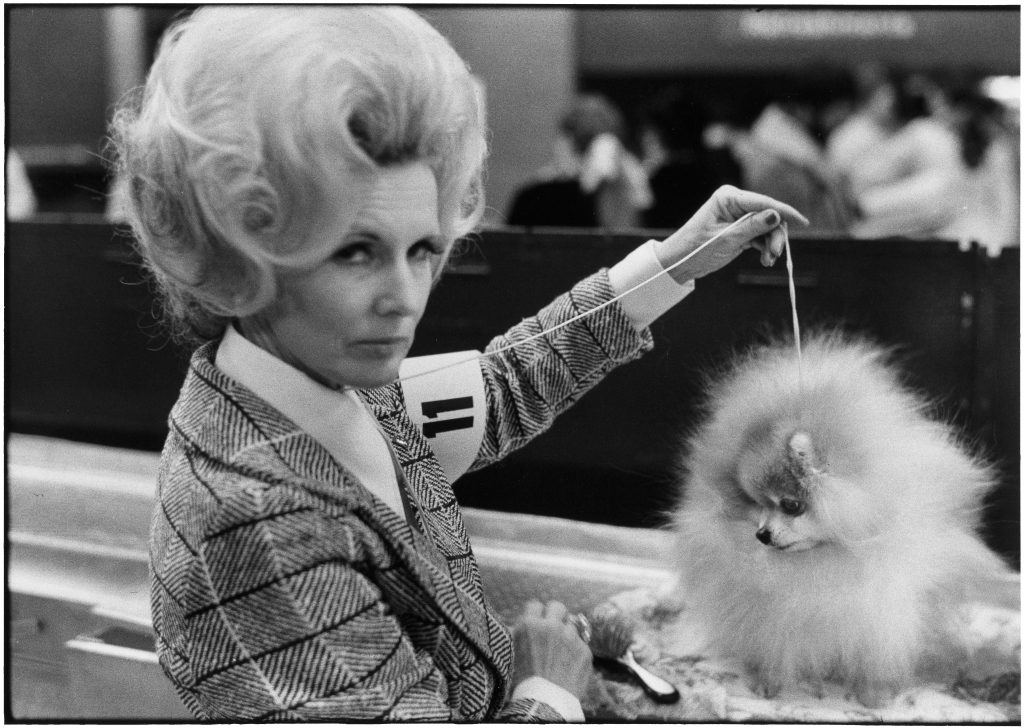 Elliott ERWITT au Musée Maillol à PARIS 11 Elliott Erwitt USA New York City 1973 Dog Show PDNB Gallery master JULIA FORMA