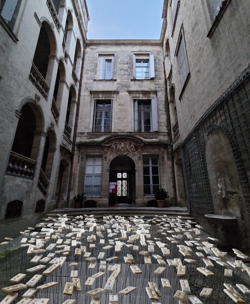 Les fleurs de la maladie JULIA FORMA