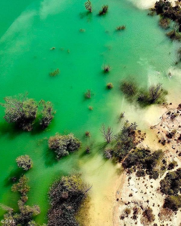 La Guinguette des Amoureux : Un coin de paradis pour les amoureux de la nature 13 visuel 02 JULIA FORMA