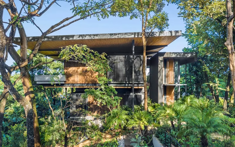 raintreehouse1