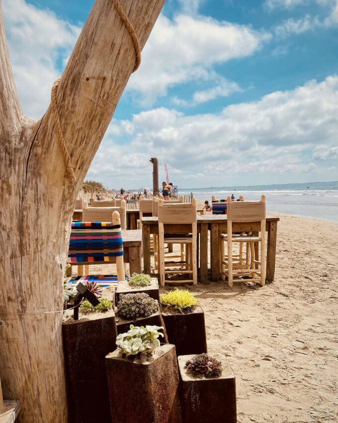 LA PLAGE SAUVAGE