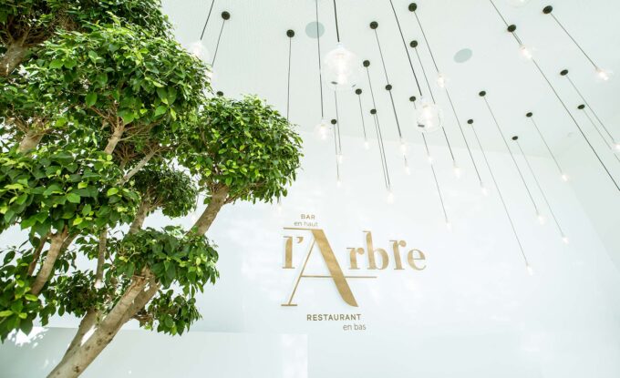 L’ARBRE